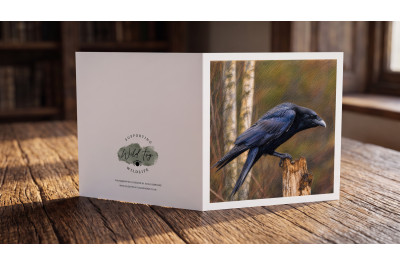 The Raven wildlife greeting card